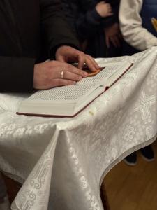 IMG_5294.jpg